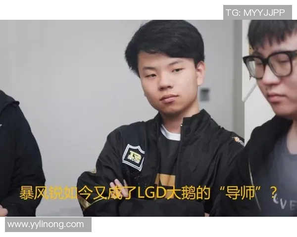 RNG战队技术表现深度分析与数据解读探讨 RNG战队技术表现深度分析与数据解读探讨