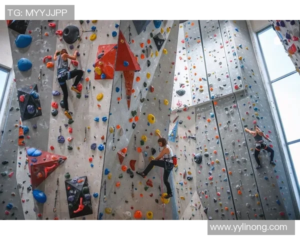 南京攀岩队夺得最新攀岩个人能力TOP10榜首引发关注