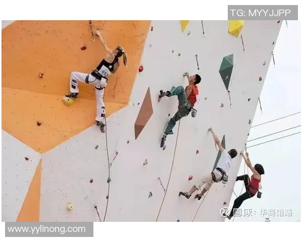 广州攀岩队在极限运动嘉年华中以63分稳居积分榜首位