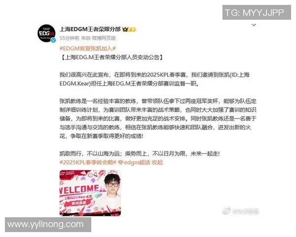 王者荣耀战术解析：深入剖析EDG团队包夹策略与执行细节