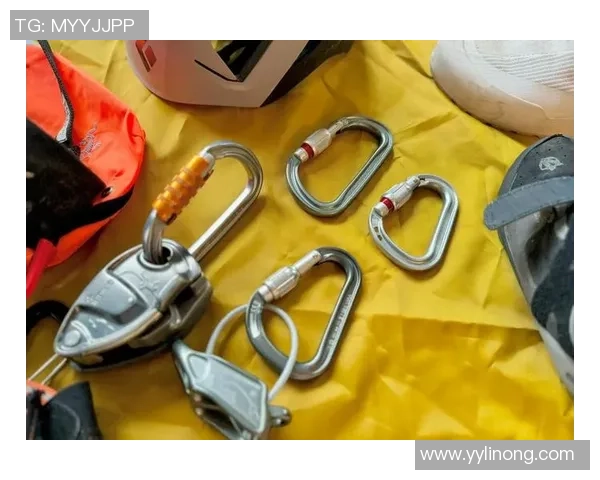 飞盘装备选购指南：最佳攀岩绳推荐与使用技巧分享