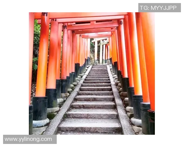 京都与千叶原市的文化碰撞与城市魅力探秘之旅