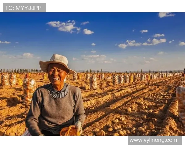 刘铮的奋斗之路：从默默无闻到职场精英的成长故事与启示